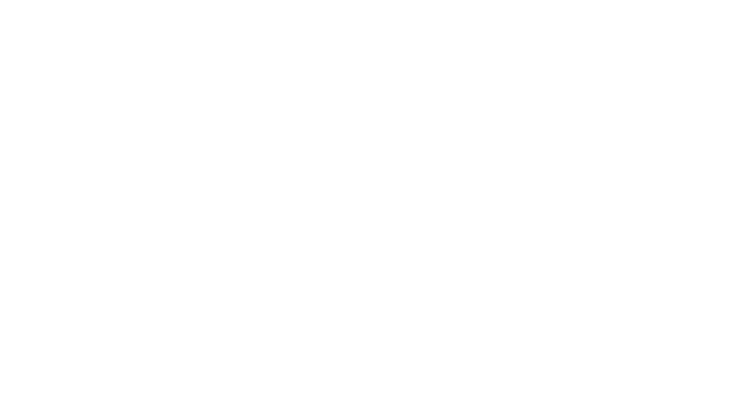HKU_Business_School_Logo_White