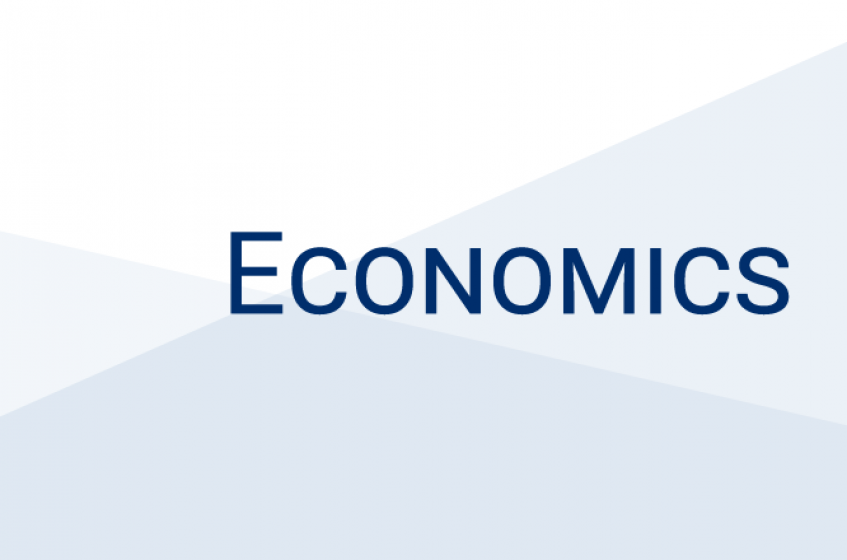 “Hours, Occupations, and Gender Differences in Labor Market Outcomes” by Dr. Gueorgui Kambourov