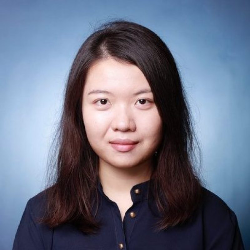Prof. Jing OUYANG's portfolio