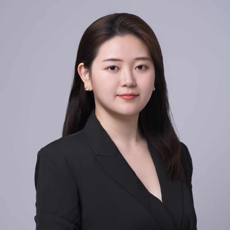 Ms. Jianfei ZHU's portfolio