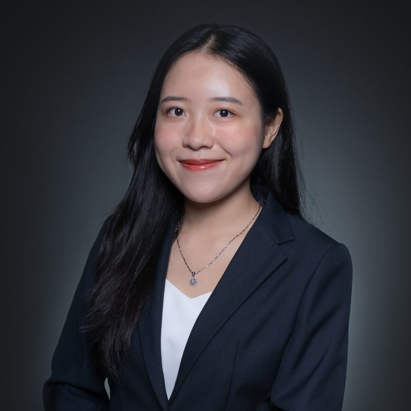 Ms. Hien Minh NGUYEN's portfolio